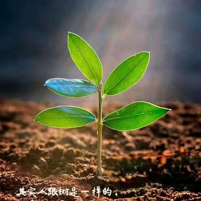 母婴管理 梁老师