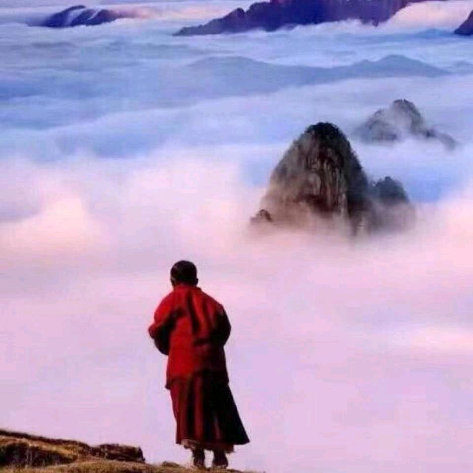 果果