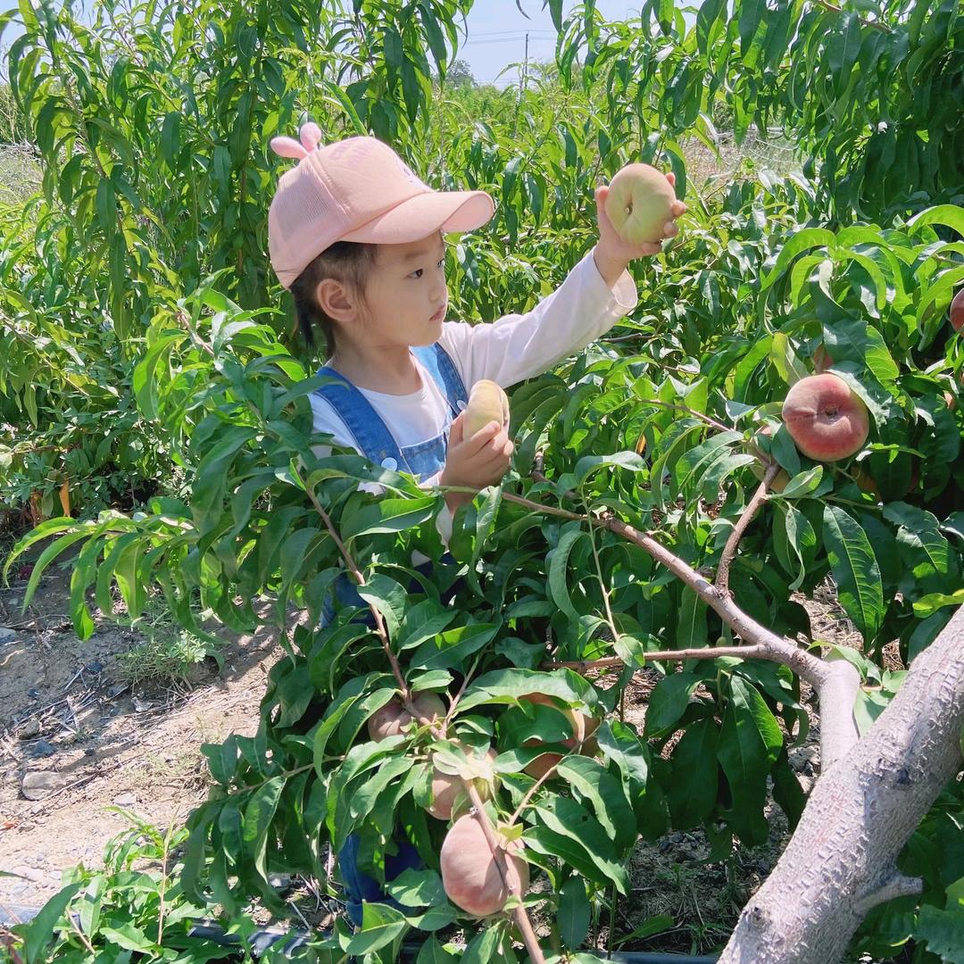 雨后过去仍然是彩虹，