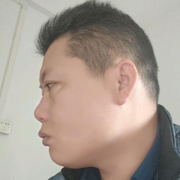 天下陈氏头像