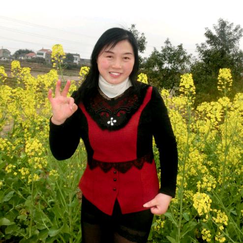 艺林墨香（橙葱妈）
