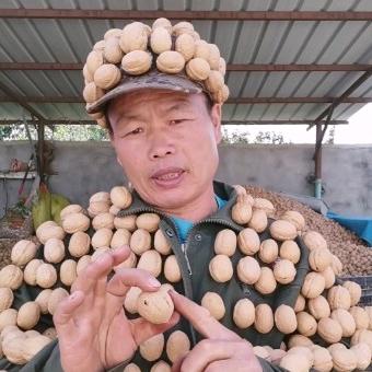 核桃哥果园