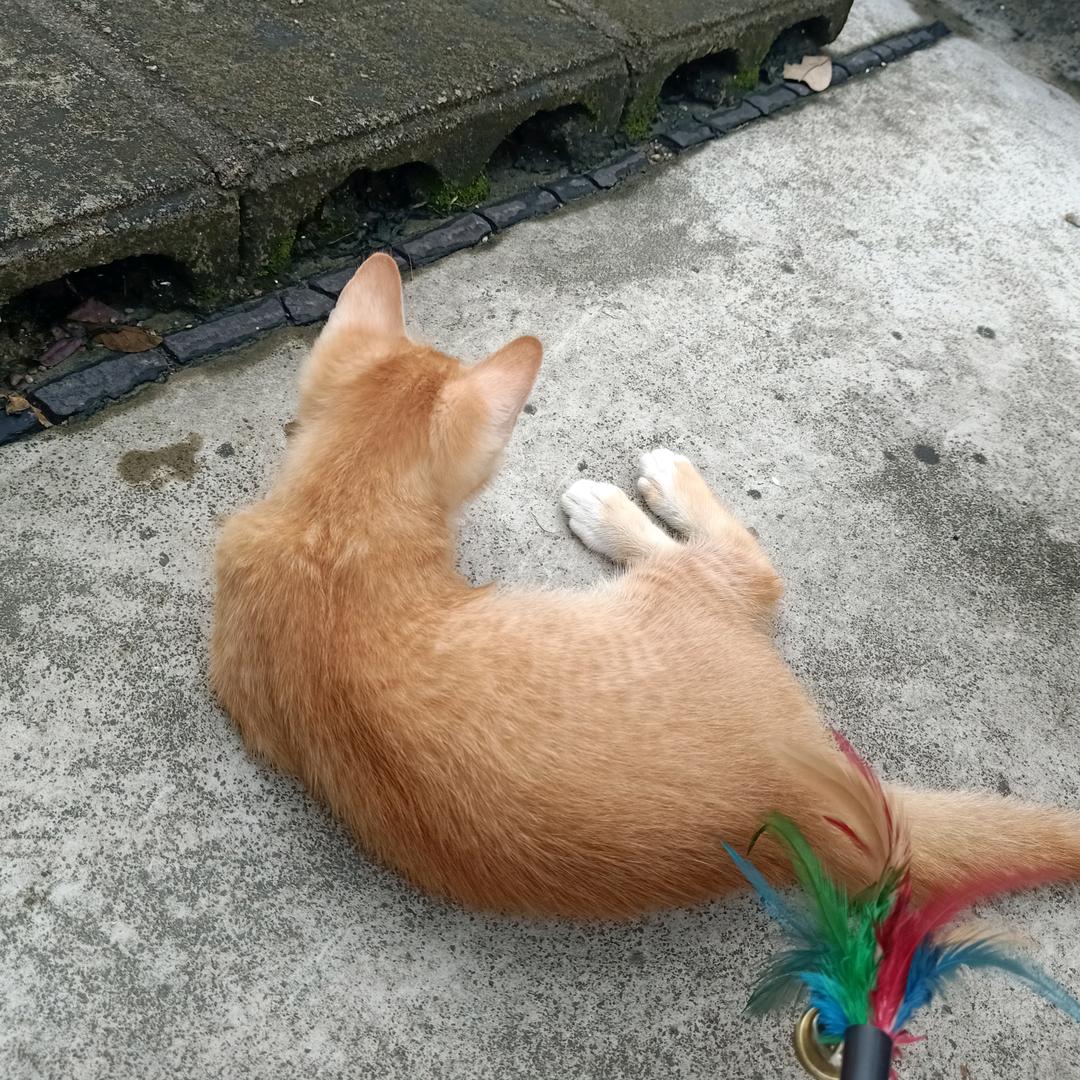 八方来财一切顺利平安顺遂😁