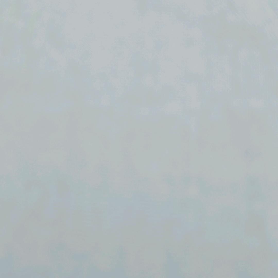 隐隐不安的傅氏头像