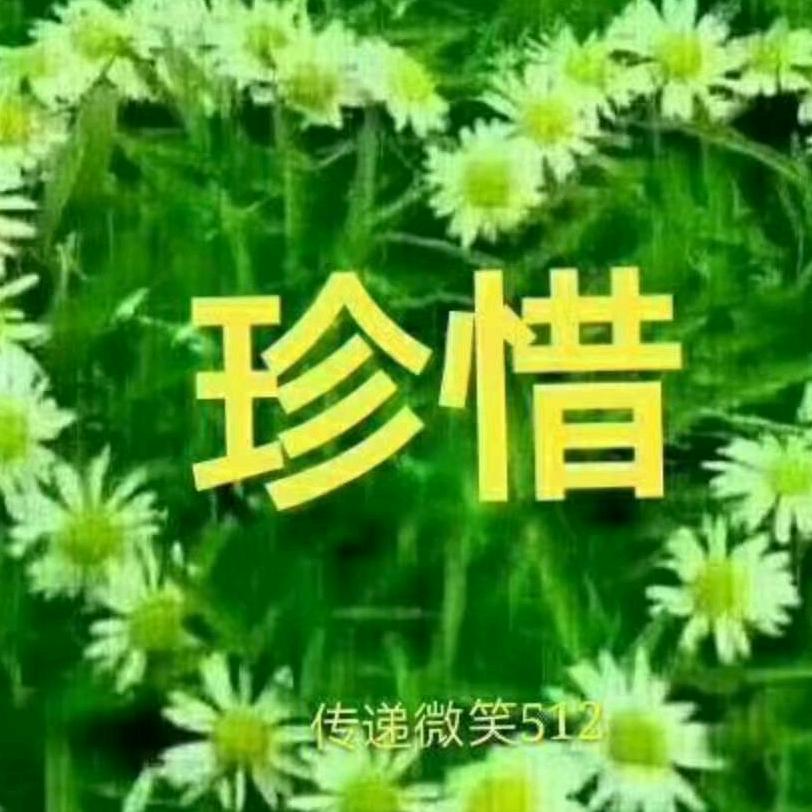 开心潇洒