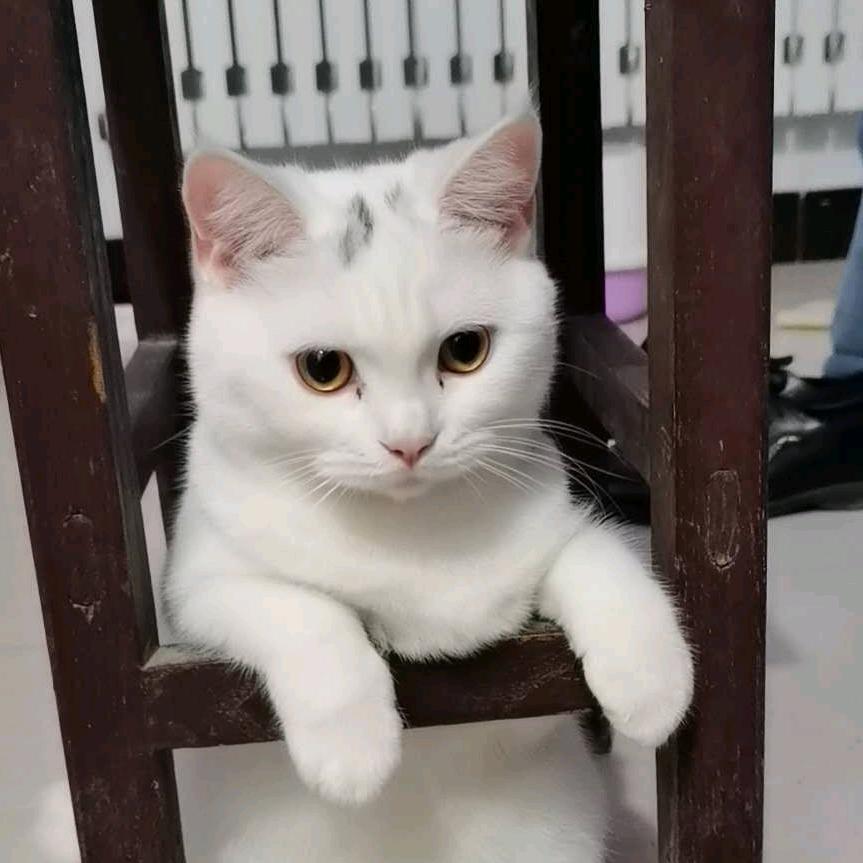 天下行走—慢慢