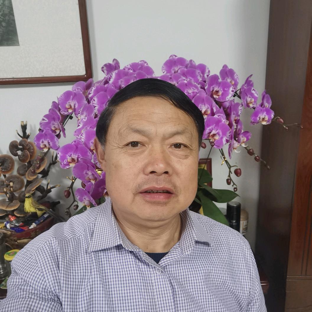 孙振启化纤销售