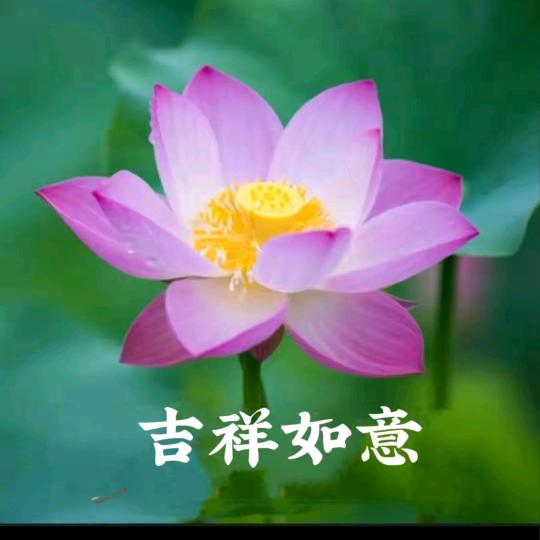 战神💪💪💪
