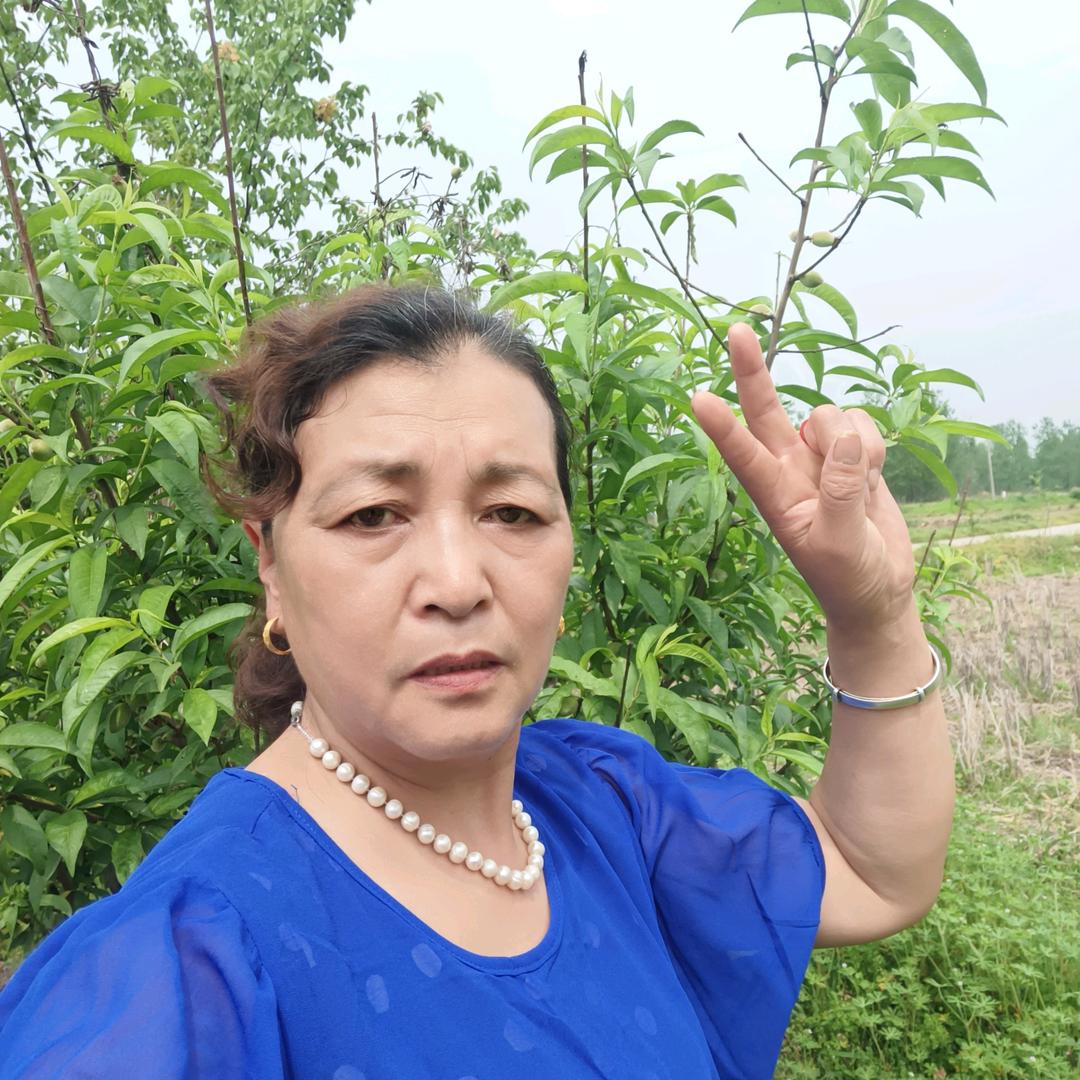 天天开心