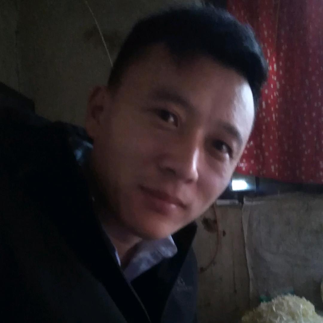 落叶