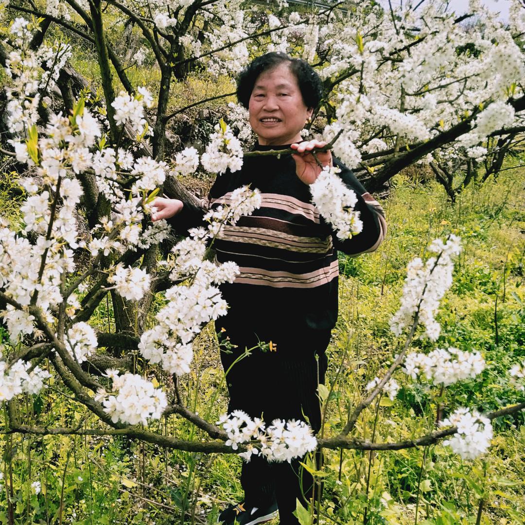卢洪英