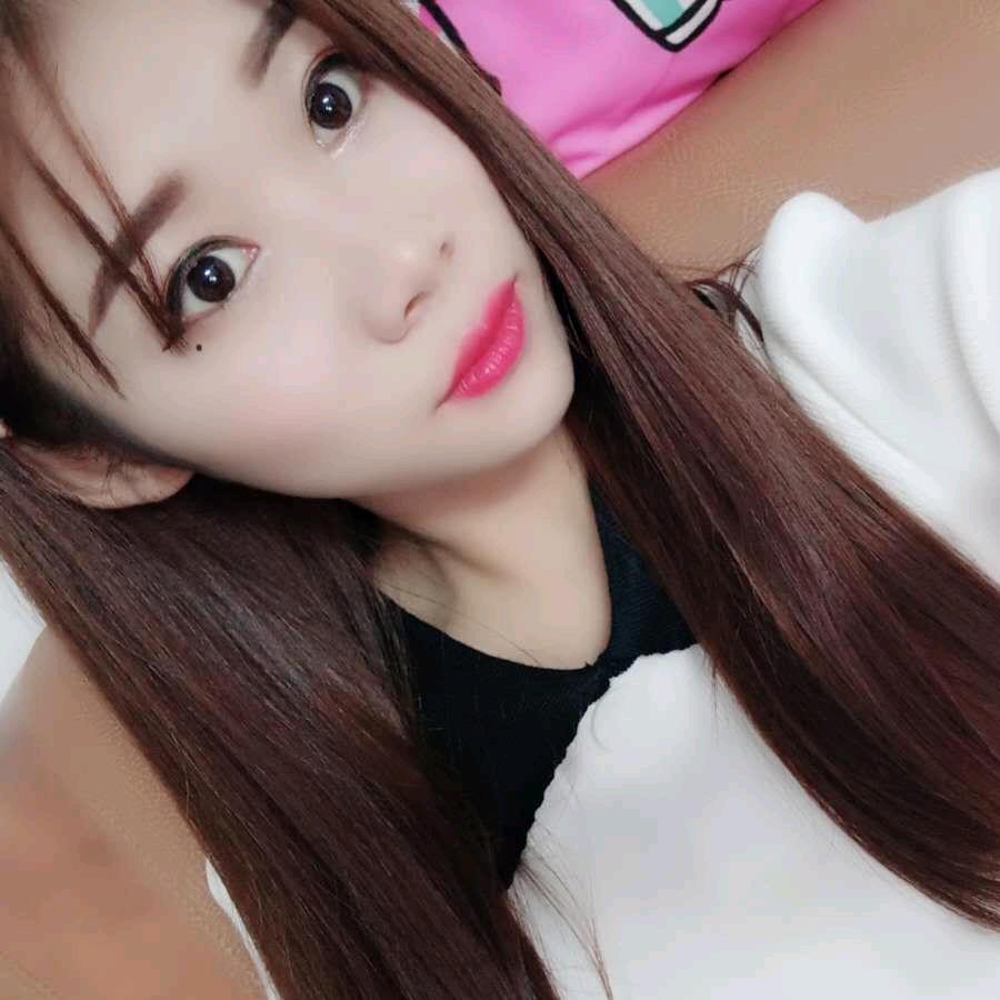 琴宝