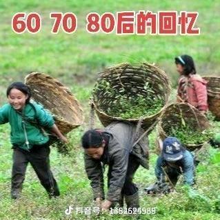 人生无意