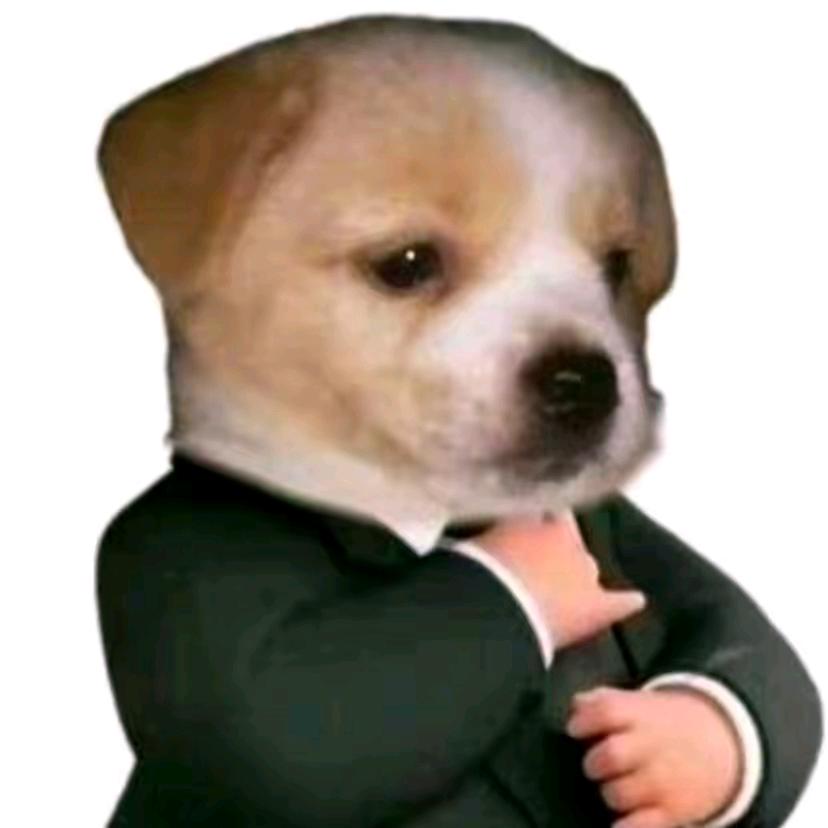 张三