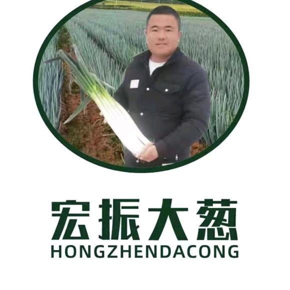宏振