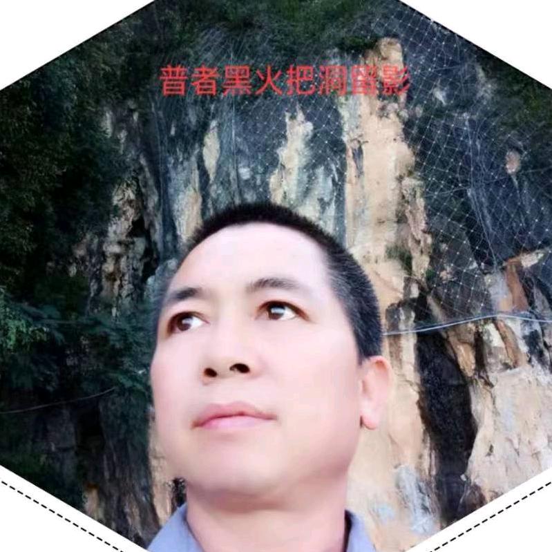 龍科