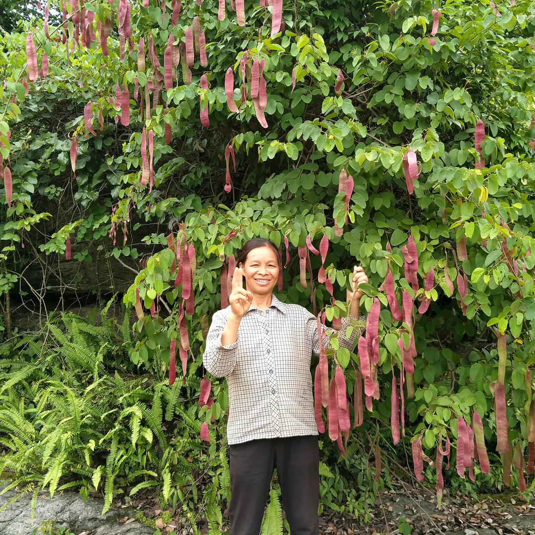 开开心心