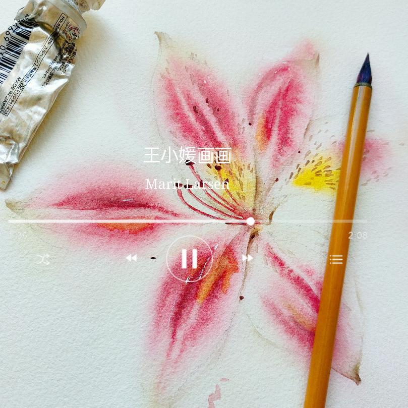 王小媛画画（网课）