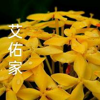 权利·责任·义务