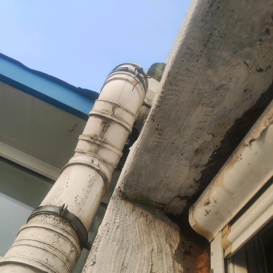 楚霸王