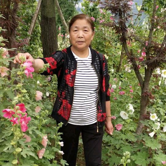 我珍惜你