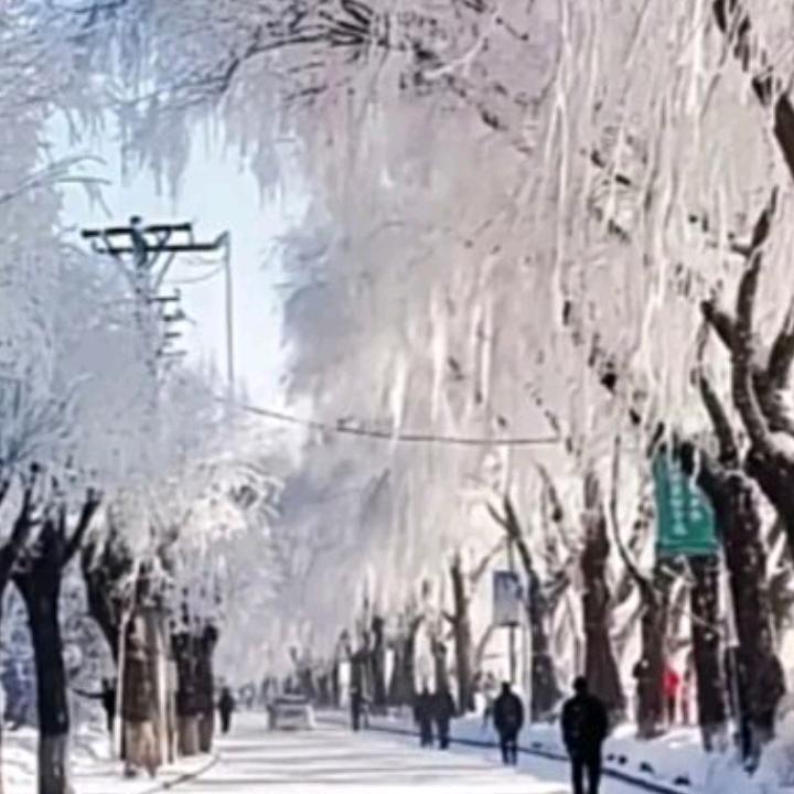 雪景
