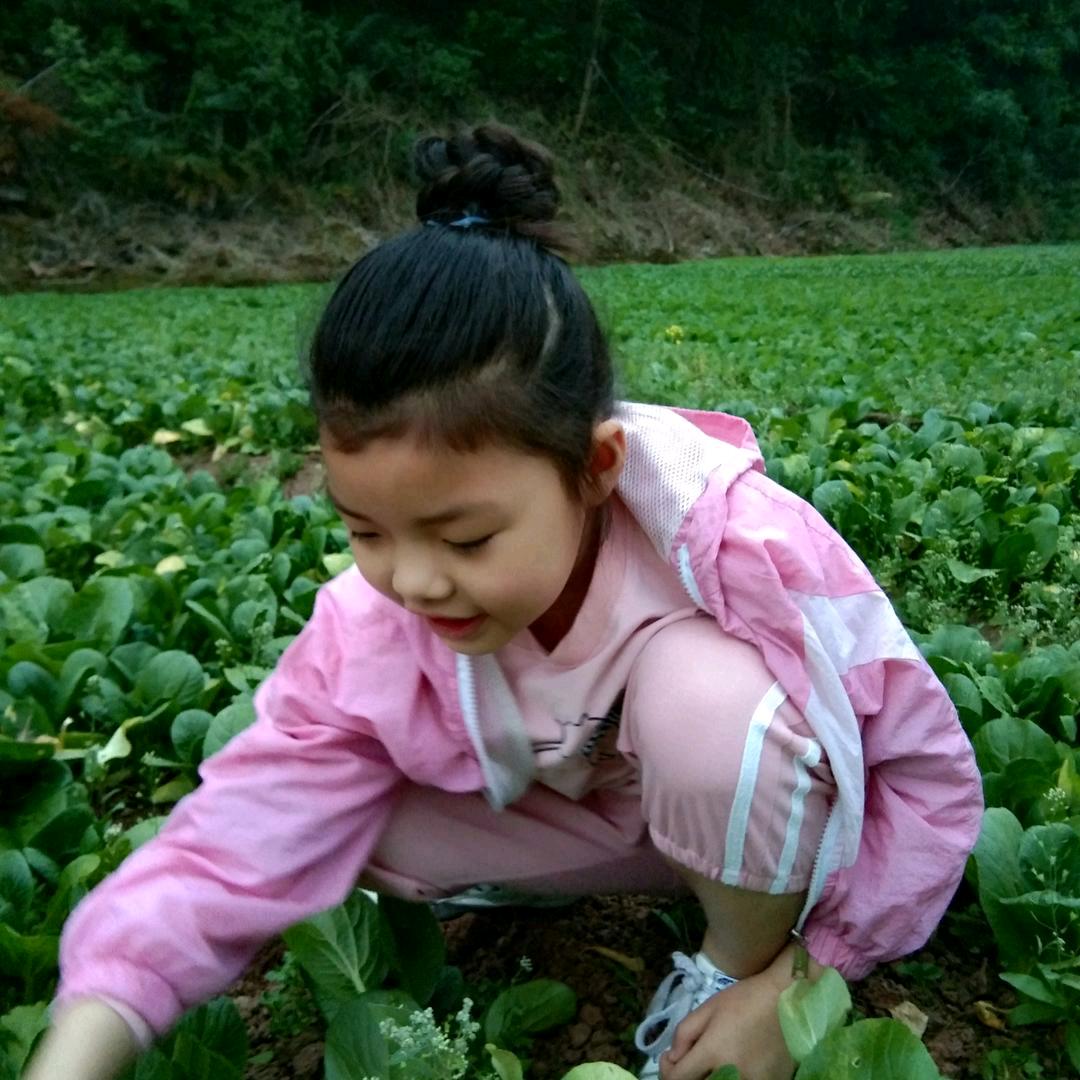 香姐姐