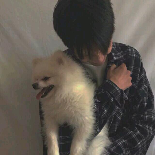 云鹤九霄.