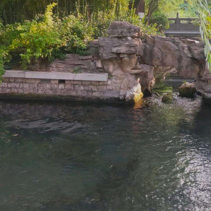 用户1126613721501