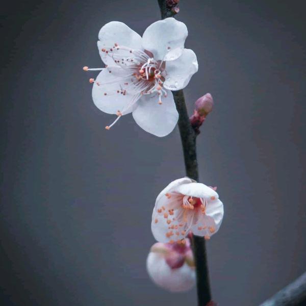 黄老师
