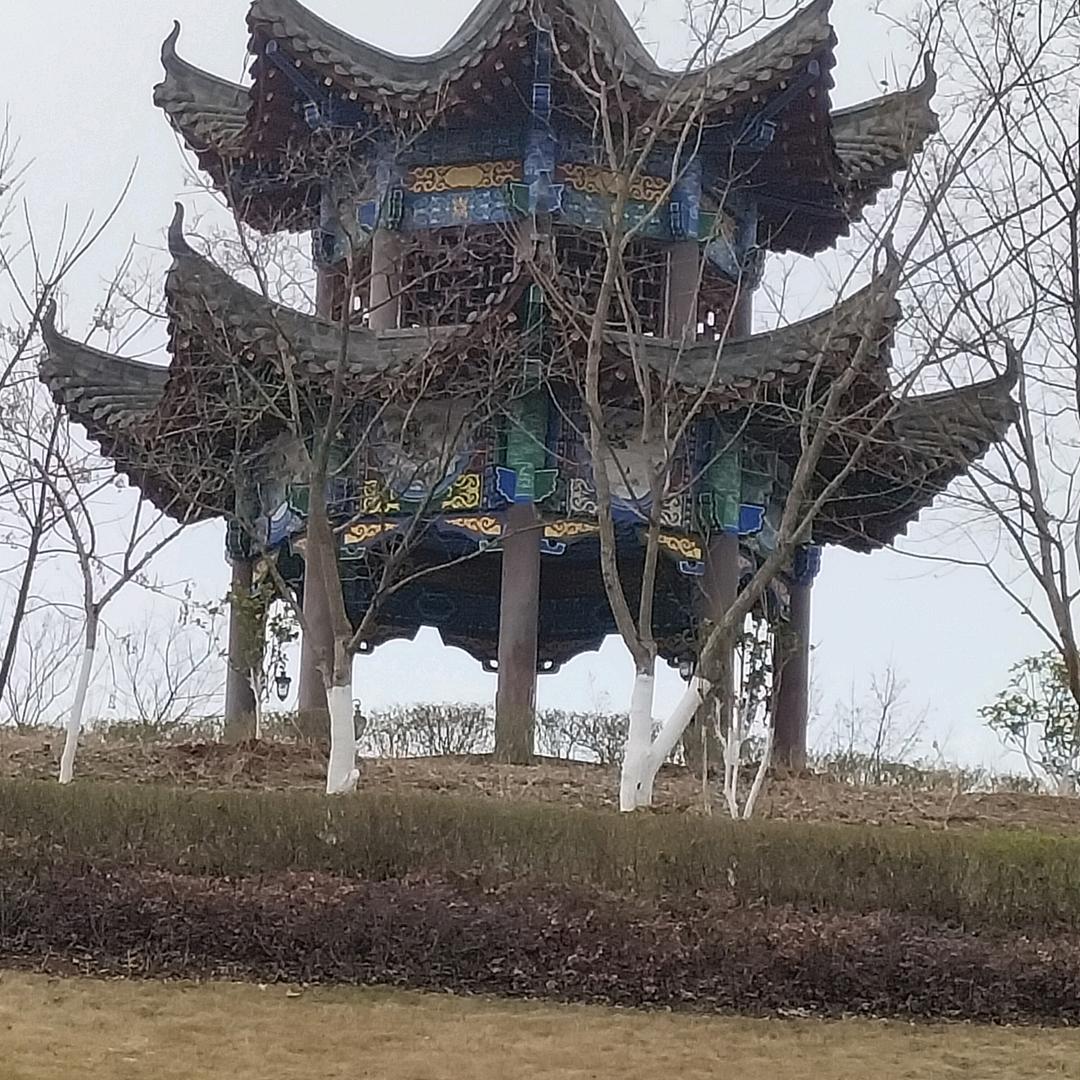 七五年，四月十四，八哥