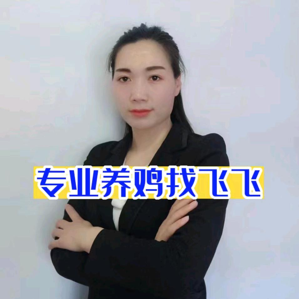 飞飞说养鸡
