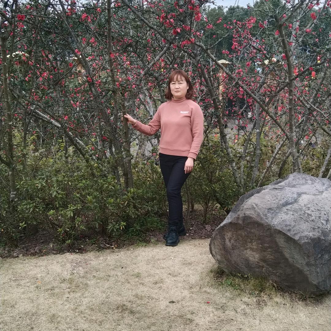 轻芷