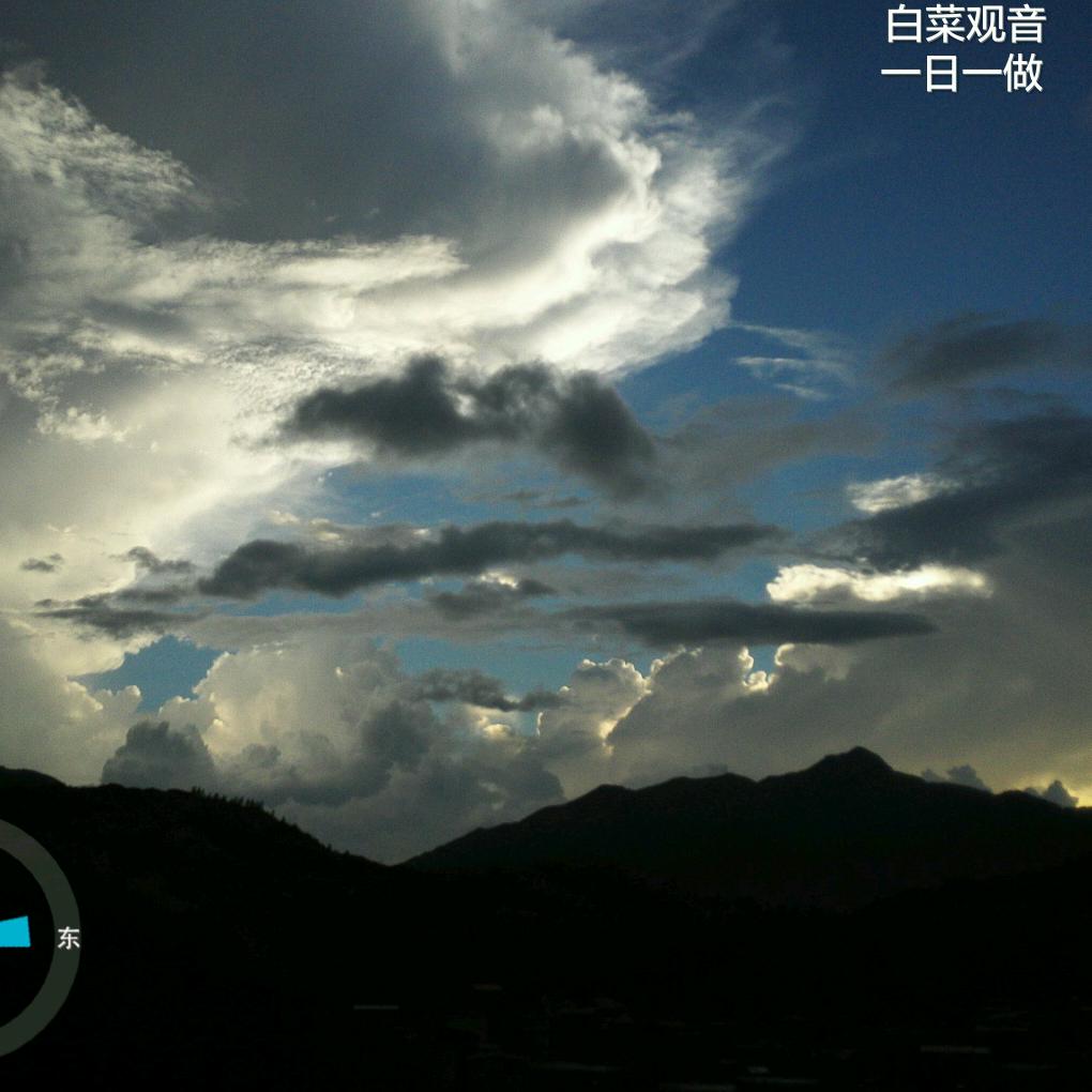 白菜观音