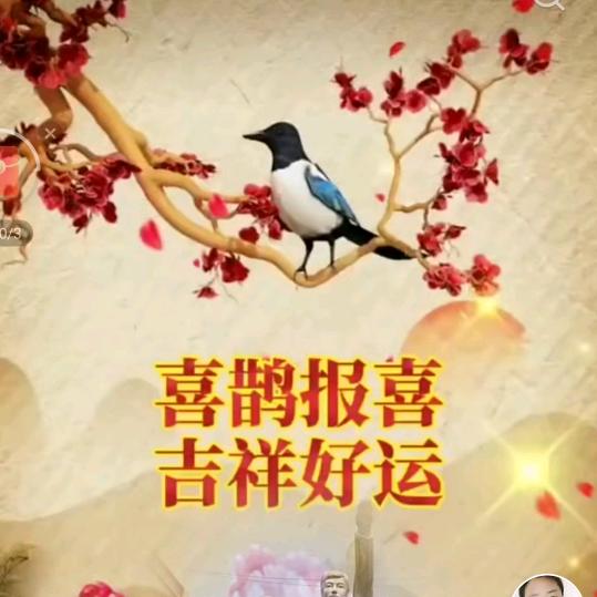 强颜欢笑 😒的 阿芳