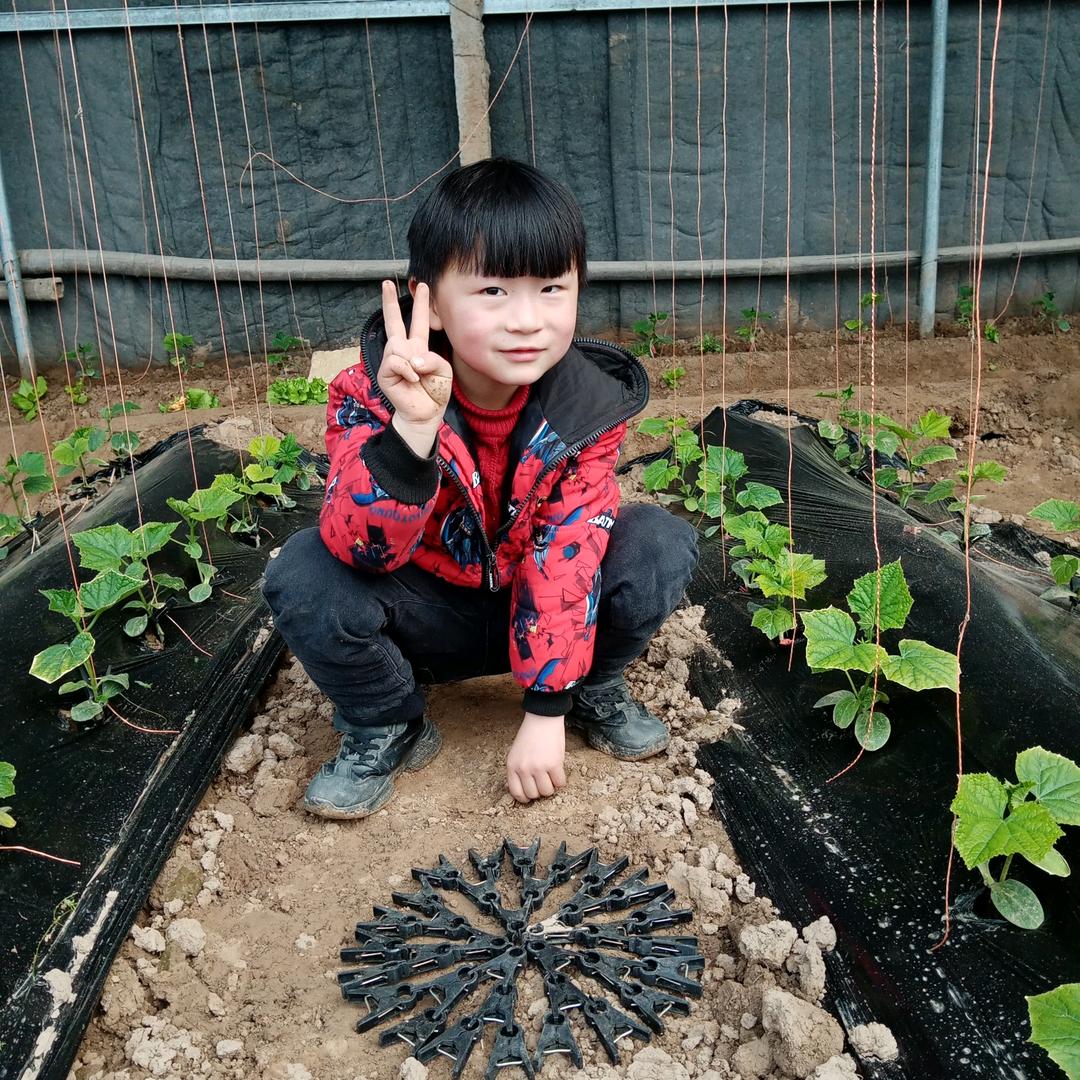 佳欣