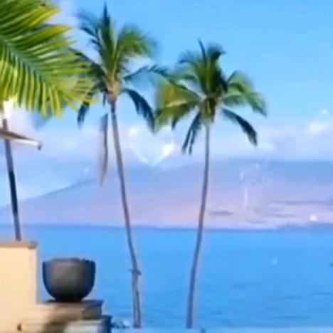 趁心      用户5056092791