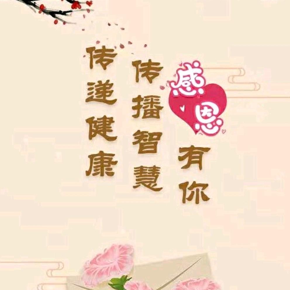 立善愿