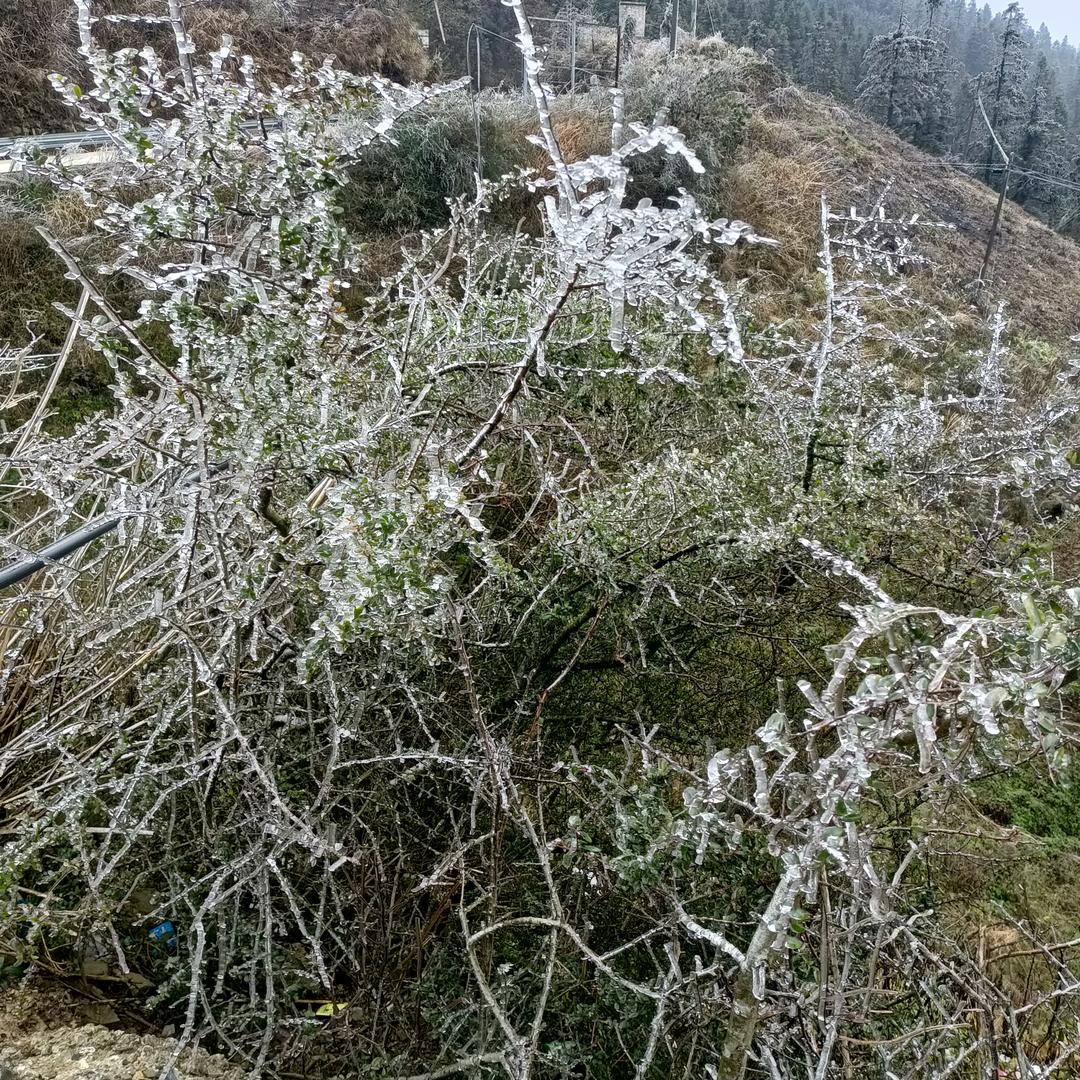 你长眠，我长念