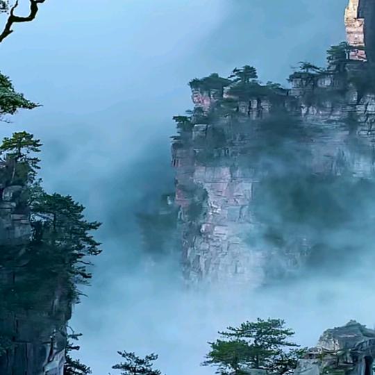 最美的是你