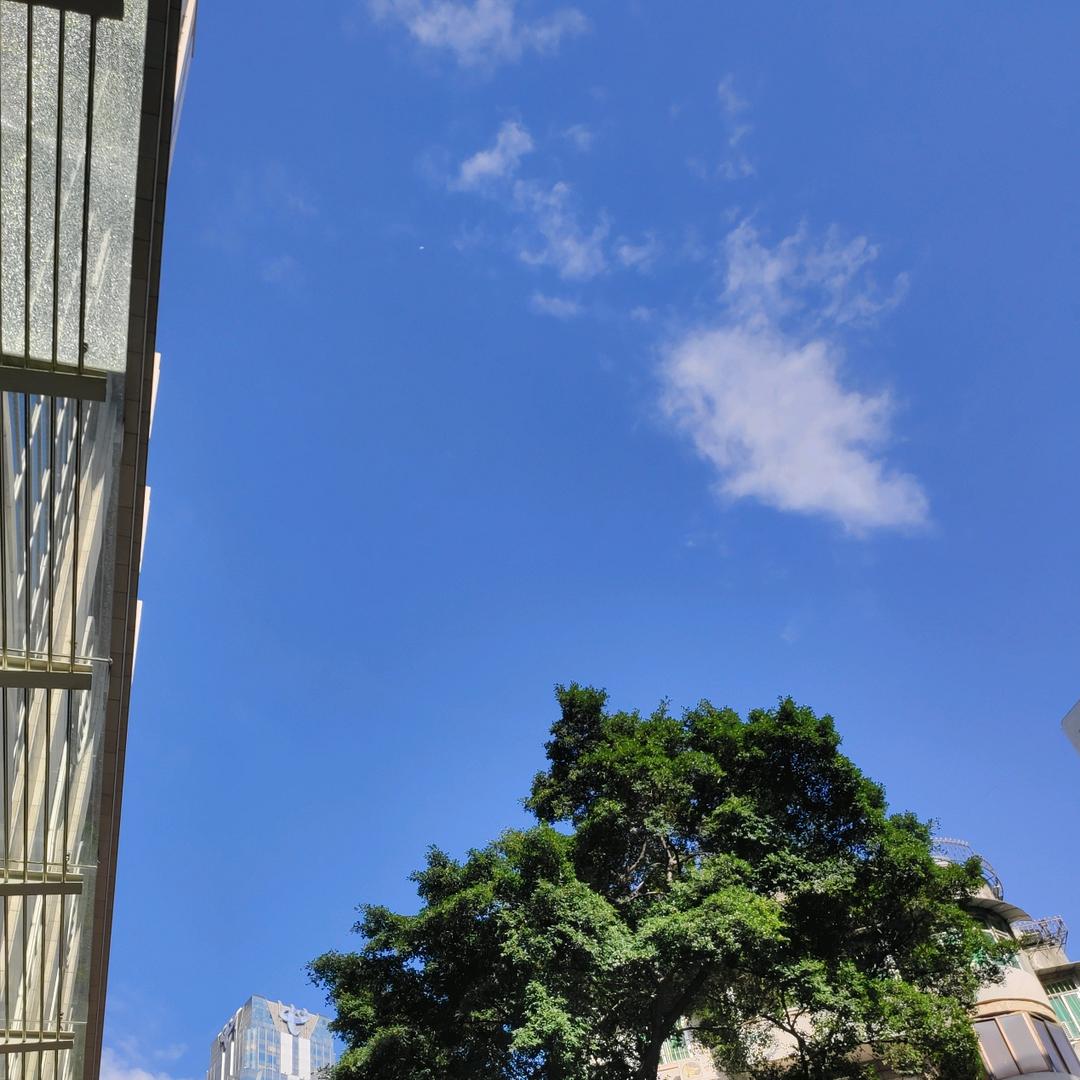 爱吃汁不吃渣的土豆🐷