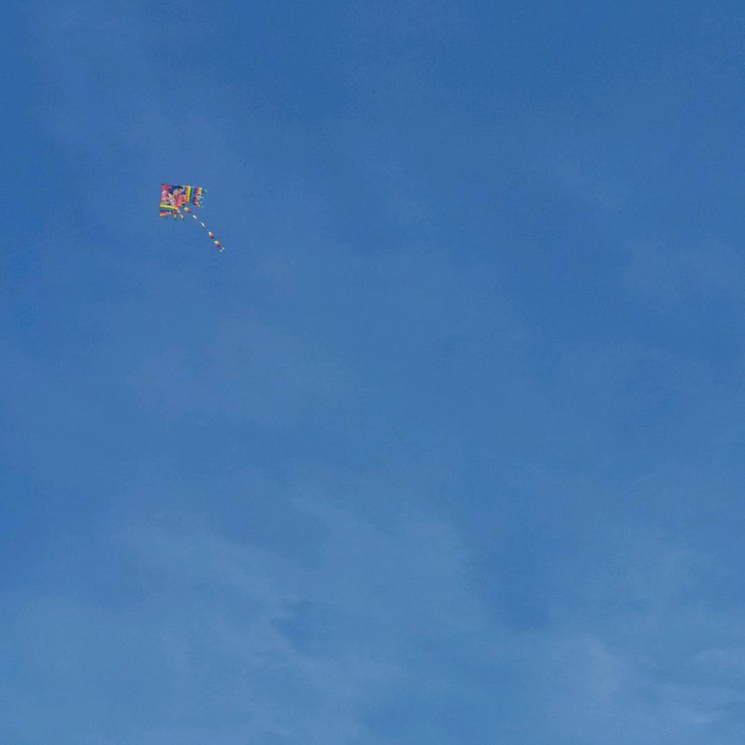 不以物喜 不以己悲