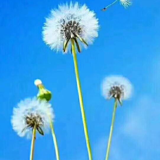 ꧁༺๑如意@幸福๑༻꧂