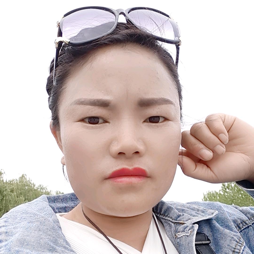南方的燕子