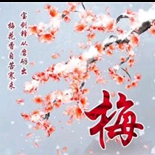 倚梅看雪