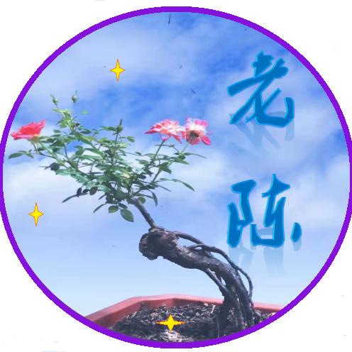 粤Q老陈