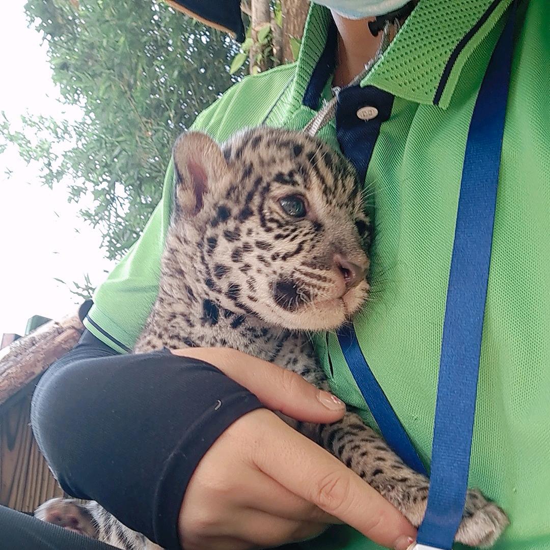 迷迷糊糊