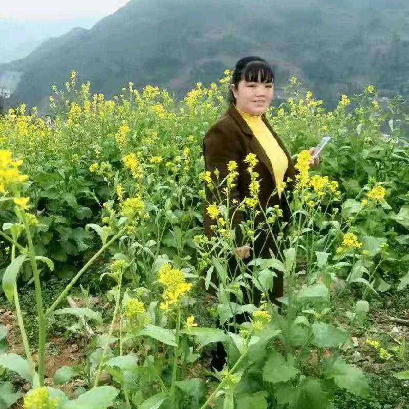 钱多多范四妹