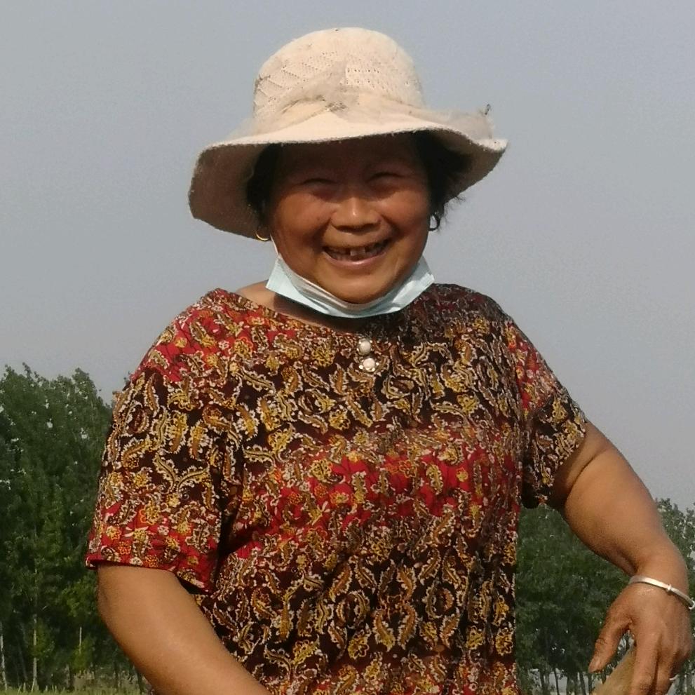 干活不累