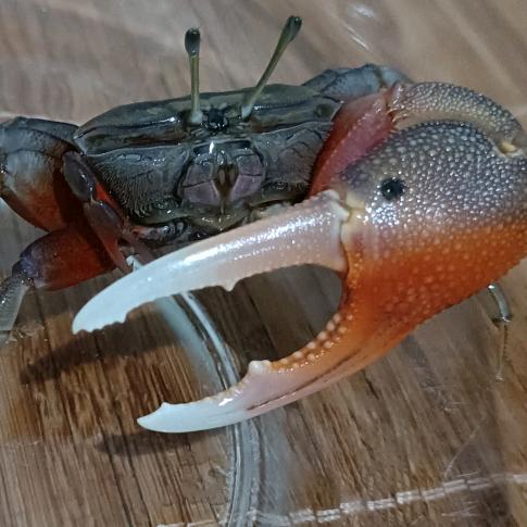 全国前十深情男孩儿🚶🏻‍♂️